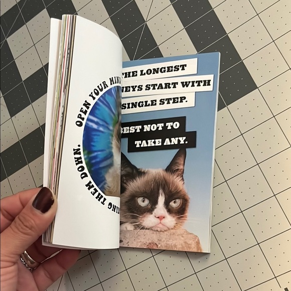Red and Gold Grumpy Cat book - Picture 7 of 9